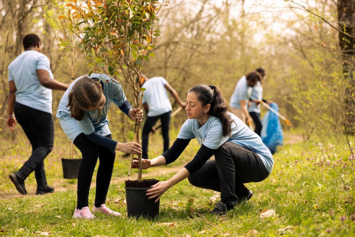 Two individuals in light blue shirts plant a small tree in a garden while several others work in the background.